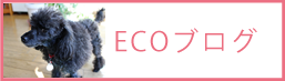 ECOブログ